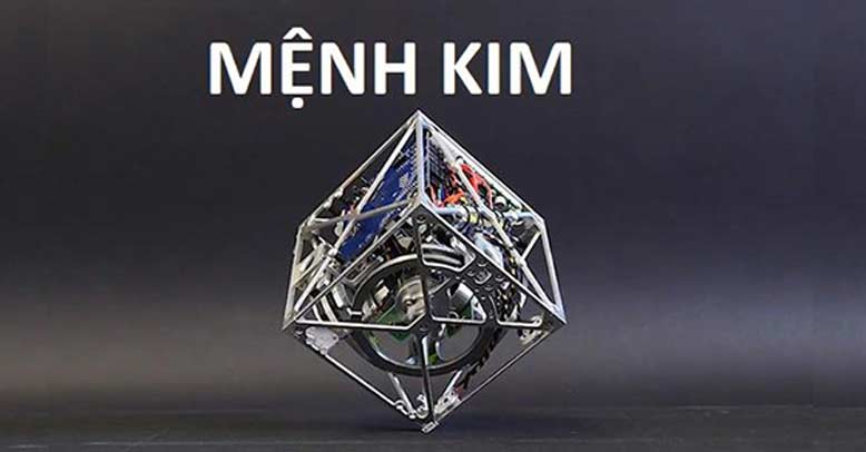 mệnh kim hợp cây gì để bàn làm việc