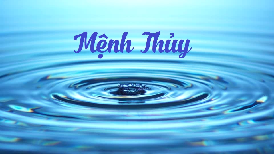 mệnh thủy hợp cây gì để bàn làm việc