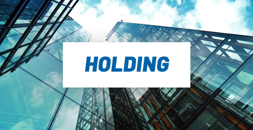 mô hình holding