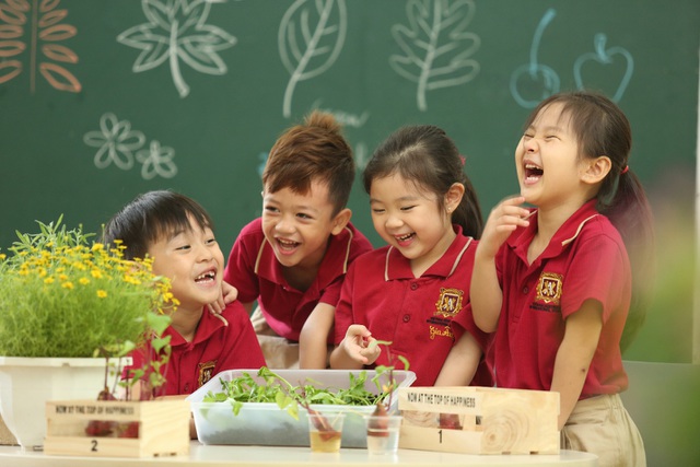 thành lập công ty giáo dục mầm non