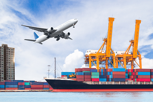 các công ty xuất khẩu mới thành lập
