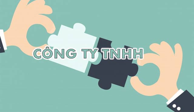 công ty trách nhiệm hữu hạn một thành viên