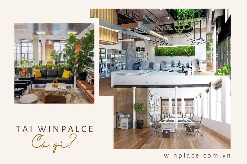 Văn phòng ảo tại WinPlace có gì?