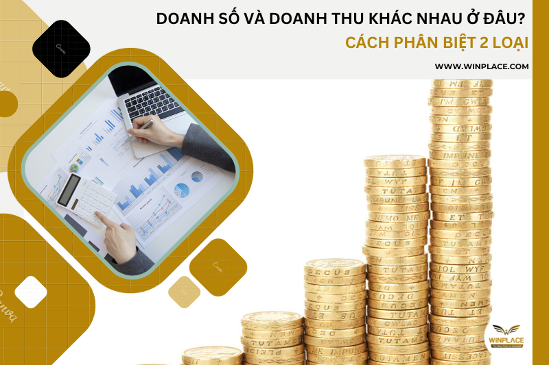 Doanh số và doanh thu khác nhau ở đâu? Cách phân biệt 2 loại