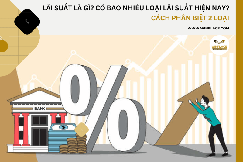 Lãi suất là gì? Có bao nhiêu loại lãi suất hiện nay? Cách phân biệt 2 loại