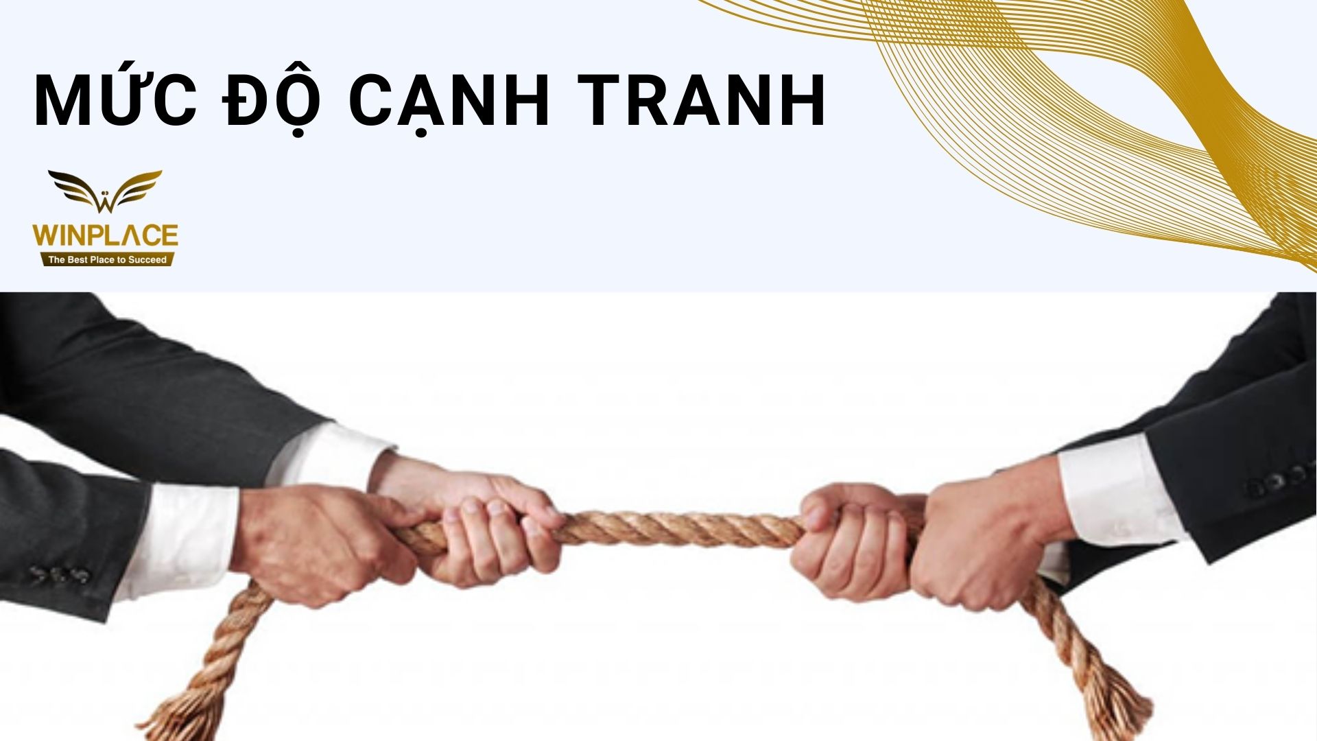 Mức Độ Cạnh Tranh Bán Theo Giá Thị Trường