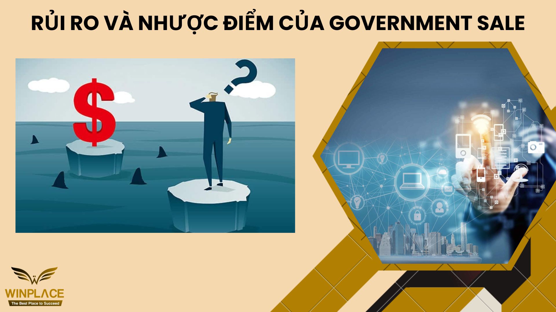 Rủi Ro và Nhược Điểm của Government Sale