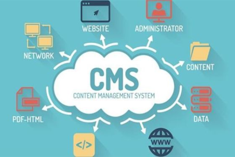 Ứng Dụng Của CMS Trong Kinh Doanh