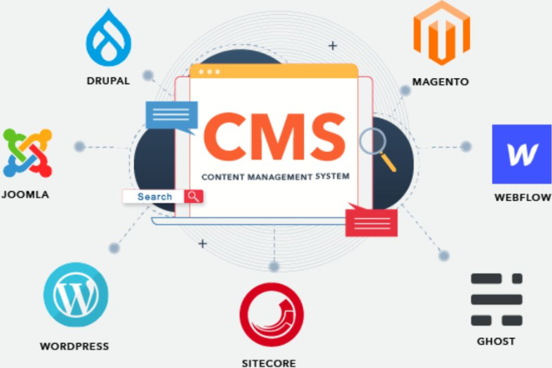 VÍ DỤ CMS