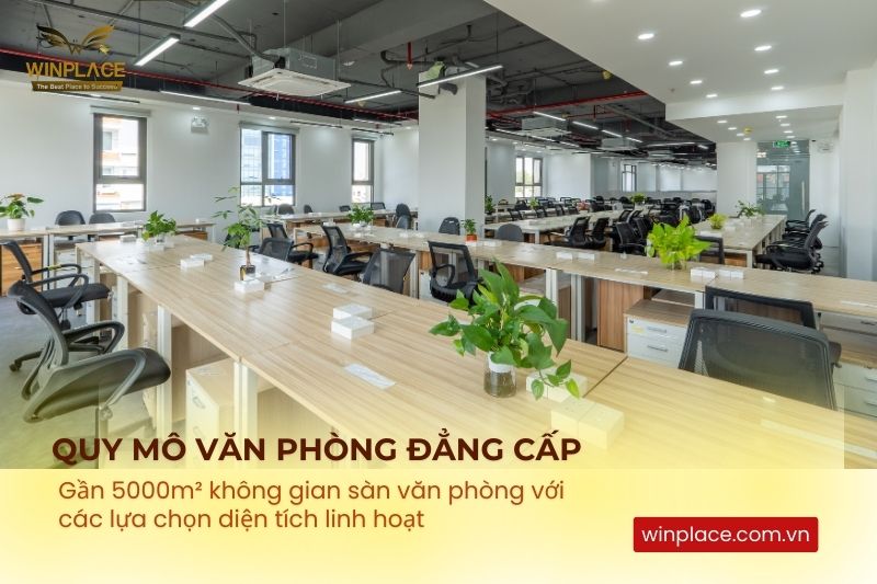 Không gian văn phòng linh hoạt diện tích cho thuê